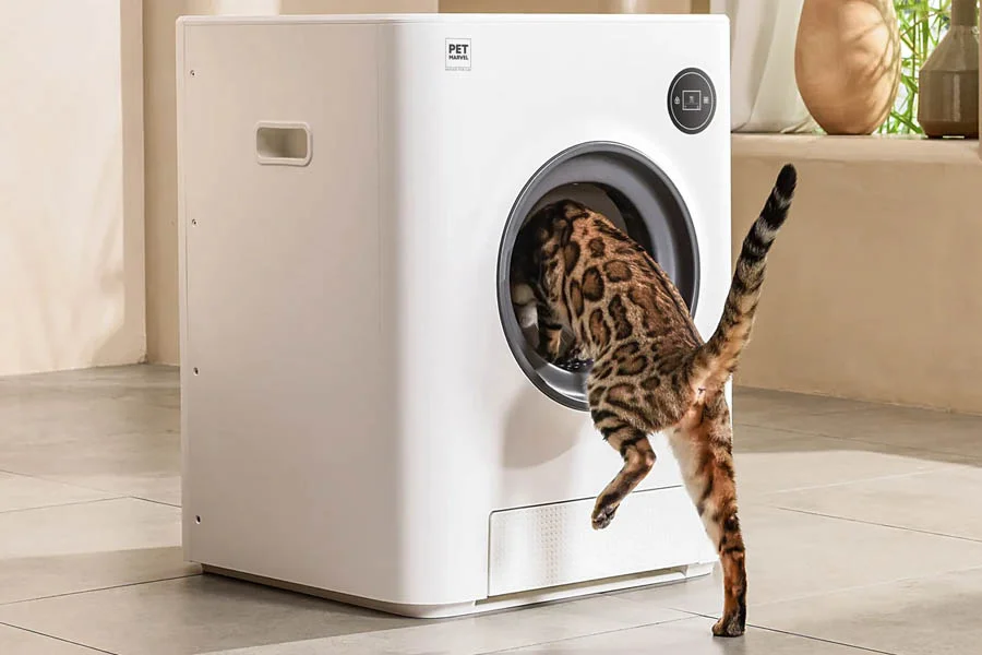 what is the best automatic litter box