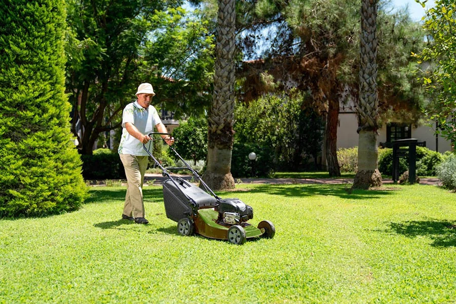 self propelled mower