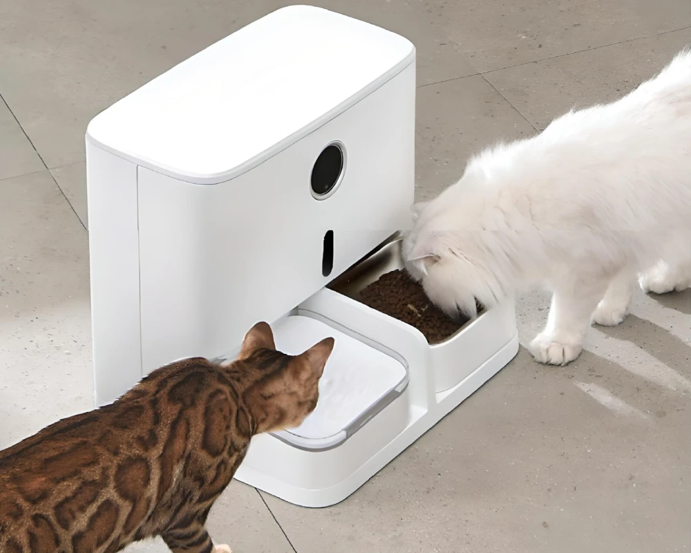 best automatic dog feeder