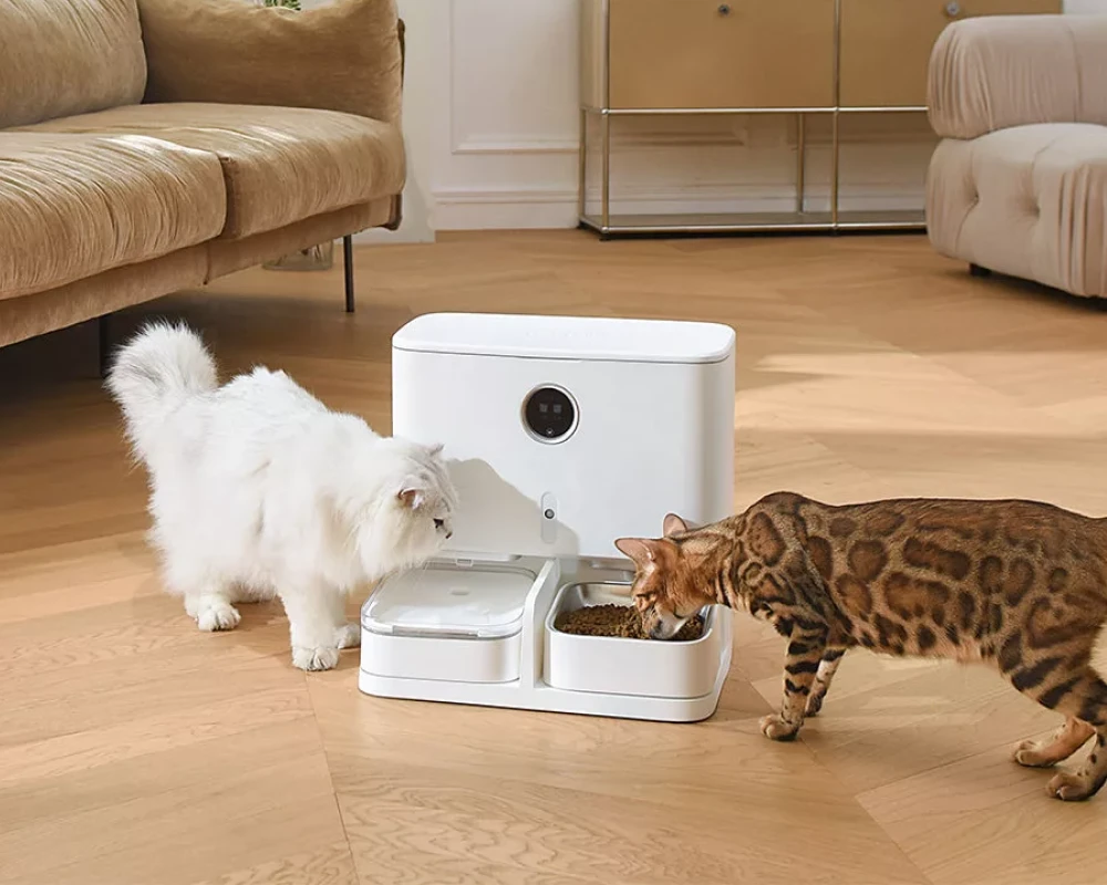 automatic pet water feeder